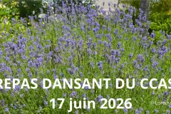 REPAS-DANSANT-DU-CCAS-17-juin-2026
